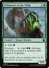 Product image for Whisperer of the Wilds