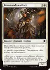 Product image for Commando cathare