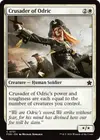 Product image for Crusader of Odric