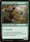 Product image for Druidesse de l'Auvent
