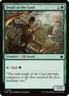 Product image for Druid of the Cowl
