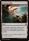 Product image for Evolving Wilds