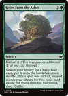 Product image for Grow from the Ashes