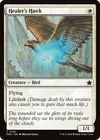 Product image for Healer's Hawk