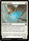 Product image for Healer's Hawk