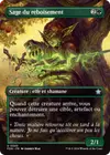 Product image for Sage du reboisement