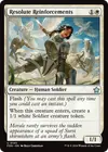 Product image for Resolute Reinforcements