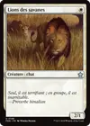 Product image for Lions des savanes