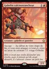 Product image for Gobelin calcinotrancheur