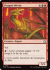 Product image for Dragon shivân
