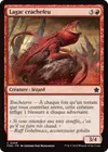 Product image for Lagac crachefeu