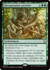 Product image for Récupération sylvestre