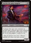 Product image for Sorcier de sang vengeur