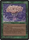 Product image for Fungal Bloom