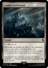 Product image for Landes cendreuses