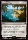 Product image for Evolving Wilds