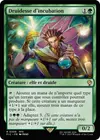Product image for Druidesse d'incubation