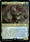 Product image for Kimahri, gardien valeureux