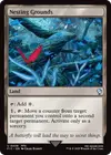 Product image for Nesting Grounds