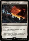 Product image for Passage des malandrins