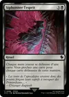 Product image for Siphonner l'esprit