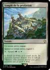 Product image for Temple de la profusion