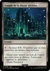 Product image for Temple de la fausse divinité