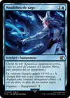 Product image for Noulithes de sage