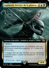 Product image for Séphiroth, héritier de la planète