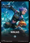 Product image for Ninjas