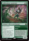 Product image for Cultivateur carnivore // Enroot