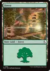 Product image for Forest