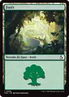 Product image for Forêt