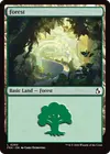 Product image for Forest