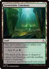 Product image for Formidable Commons