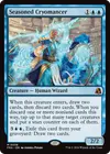 Product image for Seasoned Cryomancer