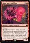 Product image for Mage lance-ardillon
