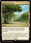 Product image for Exotic Orchard