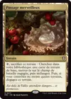 Product image for Passage merveilleux