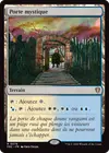Product image for Porte mystique