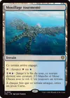 Product image for Mouillage tourmenté