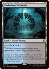 Product image for Turbulent Wetlands