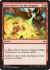 Product image for Bain dans le feu des dragons