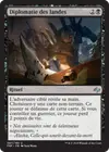 Product image for Diplomatie des landes