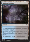 Product image for Marigot lugubre