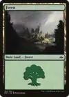 Product image for Forest