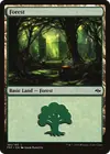 Product image for Forest