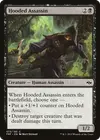 Product image for Hooded Assassin