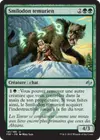 Product image for Smilodon temurien