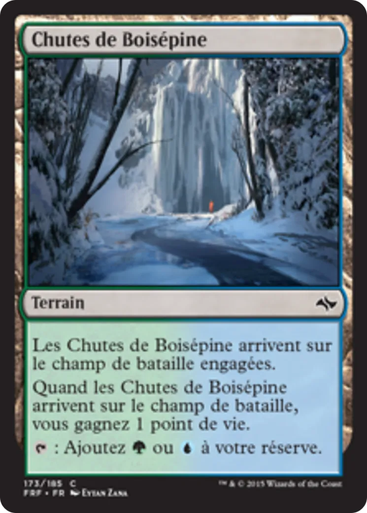 Chutes de Boisépine from Fate Reforged - Magic: The Gathering